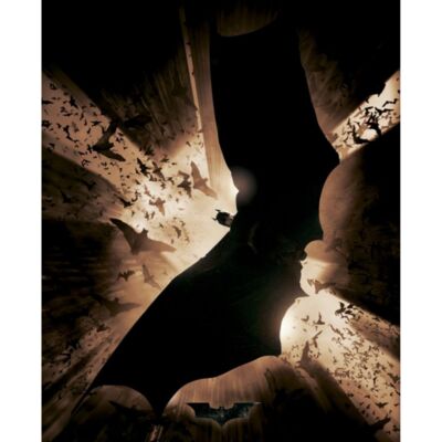 Batman Flying Art 01 Thumbnail