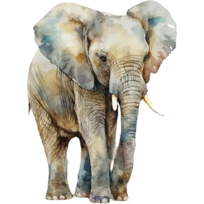 Elephant 01 Thumbnail