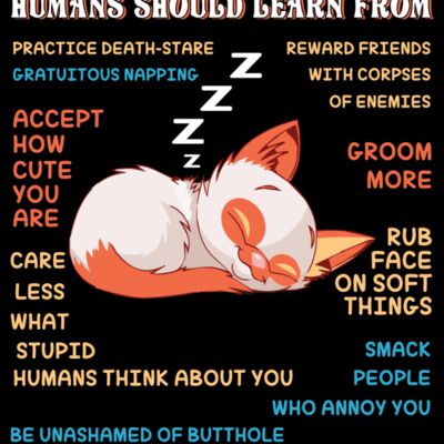 Cat Wisdom Thumbnail