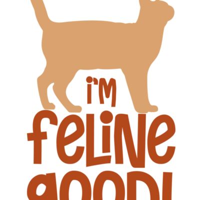 Cats Im Feline Good Thumbnail