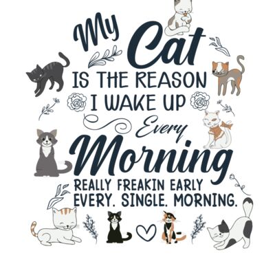 My Cat is the Reason Thumbnail