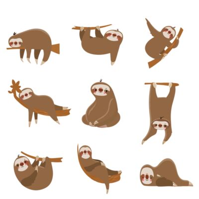 Sloth Yoga Thumbnail